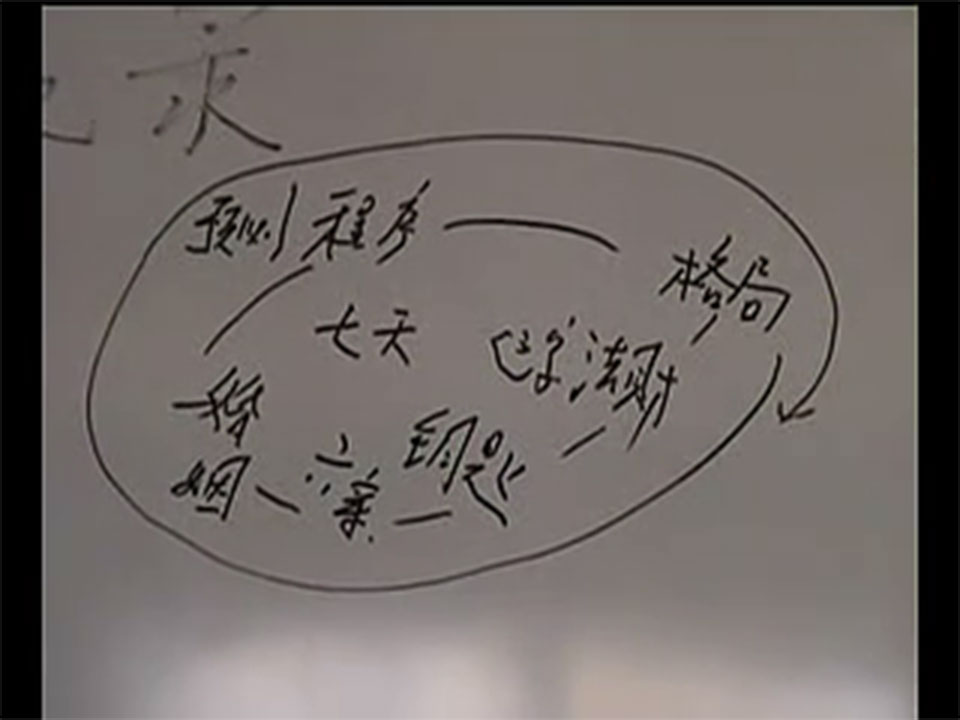 肖富阳十三千入室弟子班课程视频19集 