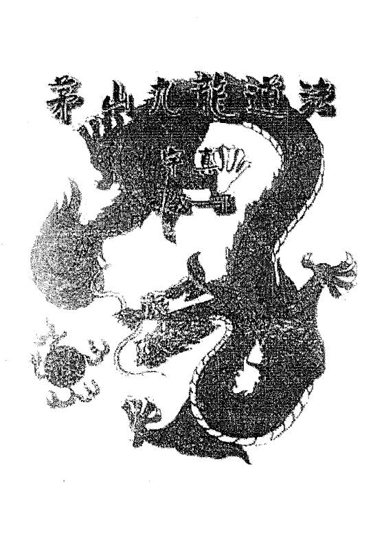 茅山玄英堂：九龙神功初级班 茅山九龙道法 16页