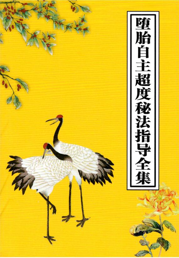 《堕胎自主超度秘法指导全集》33页
