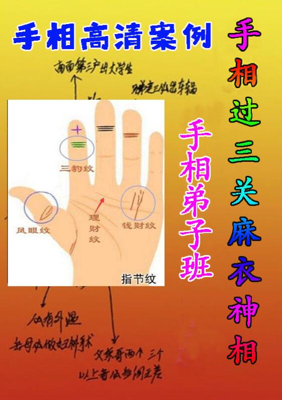 黄瑞海手相弟子班教学案例273页,200个案例