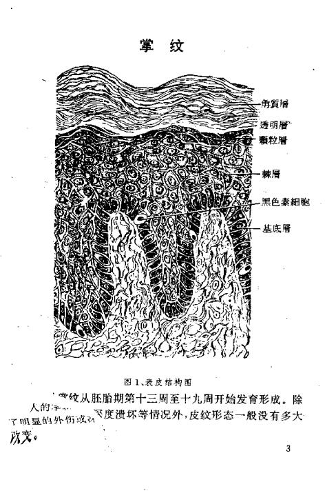 郑铎:实用手相足相预测 183页 手相面相 第4张-