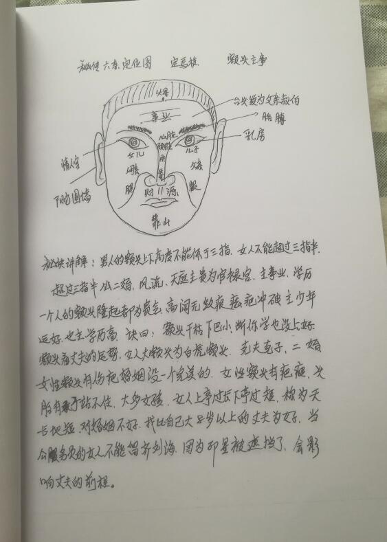 定马桩《民间相师看相绝技》手抄本 手相面相 第6张-