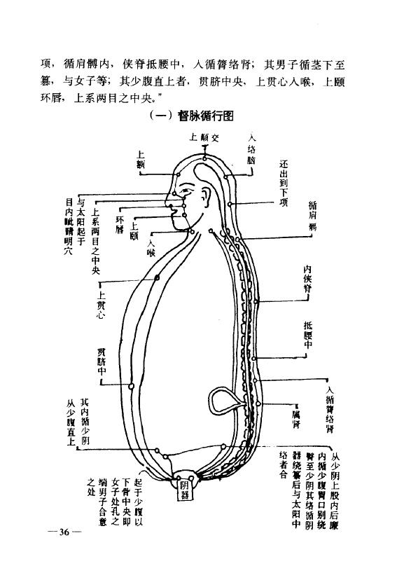 丹山隐士 向焕伦《中华传统养生秘笈》 易学 第5张-