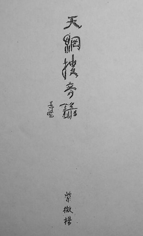 紫微杨 杨君泽《天网搜奇录》(拍照版)