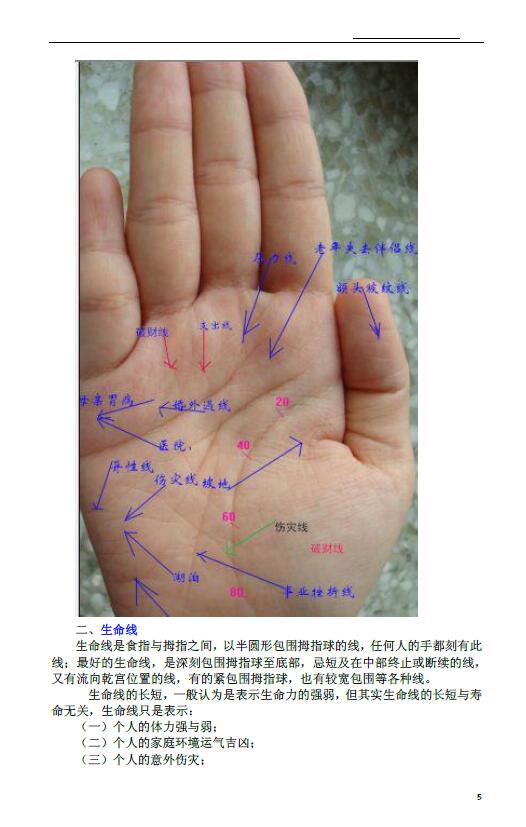 北国雪《九宫手诊法图例解析》 手相面相 第5张-