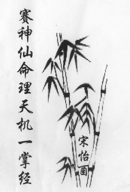 宋怡酉《赛神仙命理天机一掌经》36页双面
