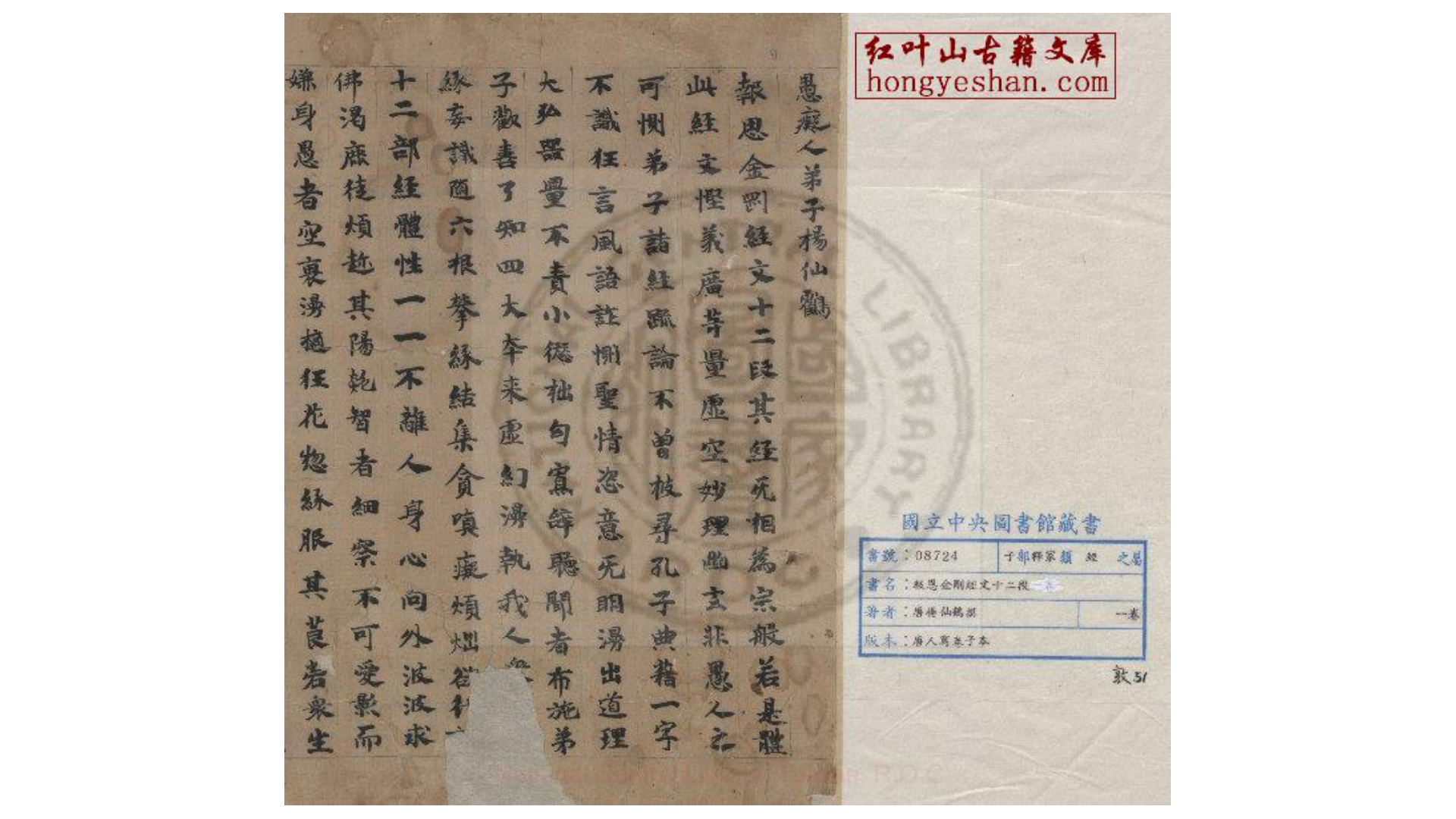 报恩金刚经文十二段  ( 唐)杨仙鹤撰  唐人写卷子本