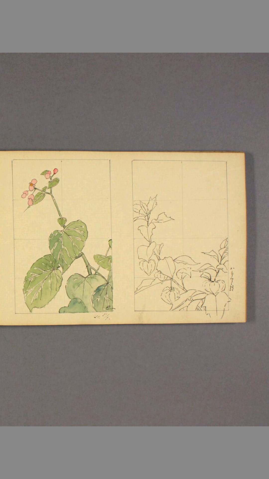 甲辰帖12及水彩画帖.三村竹清