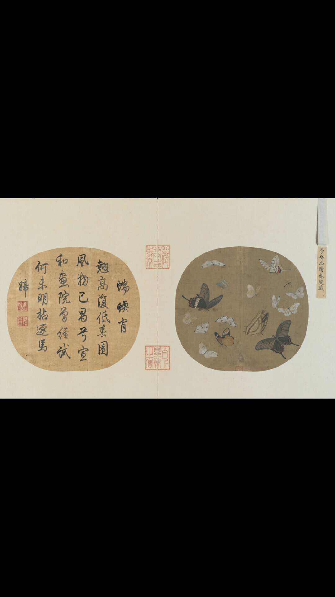 宋 李安忠 晴春蝶戏图