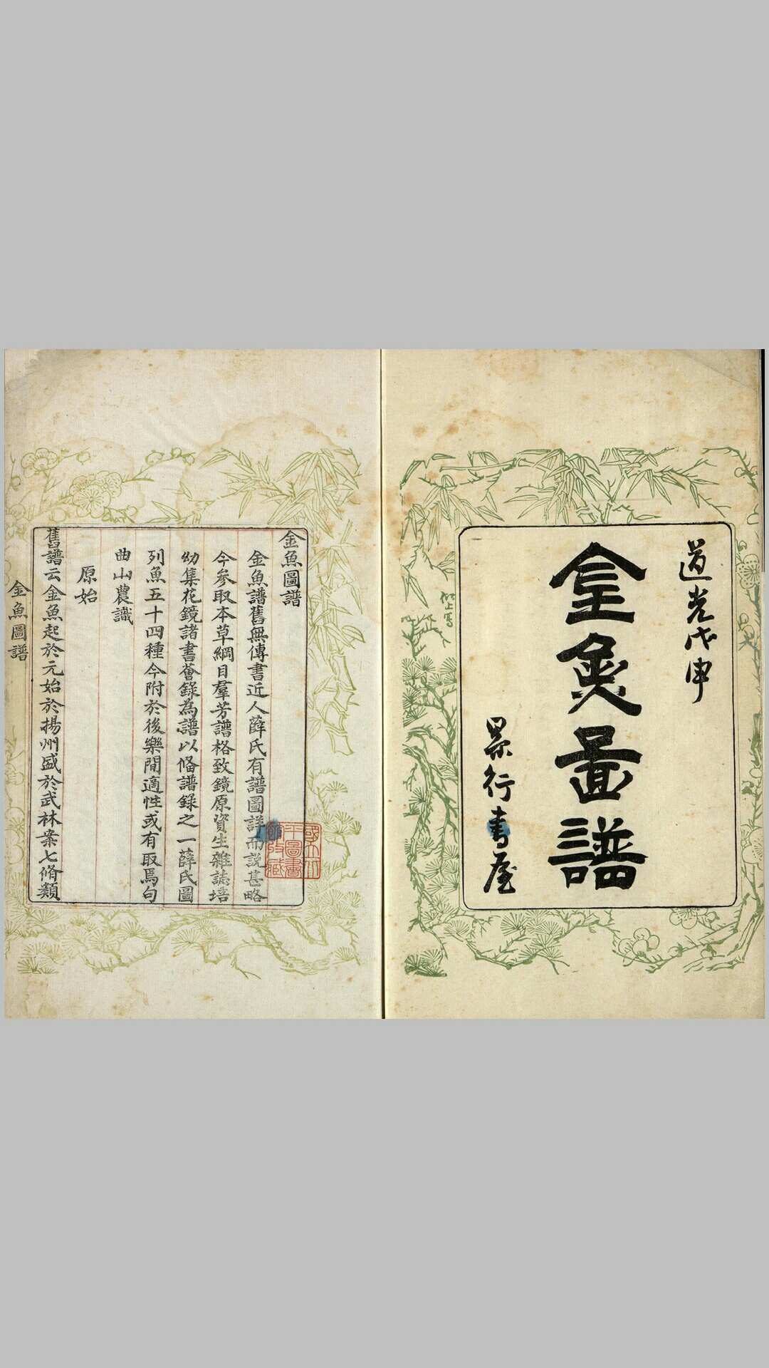 金鱼图谱.清.句曲山农撰.尚兆山绘.道光二十八年刊本