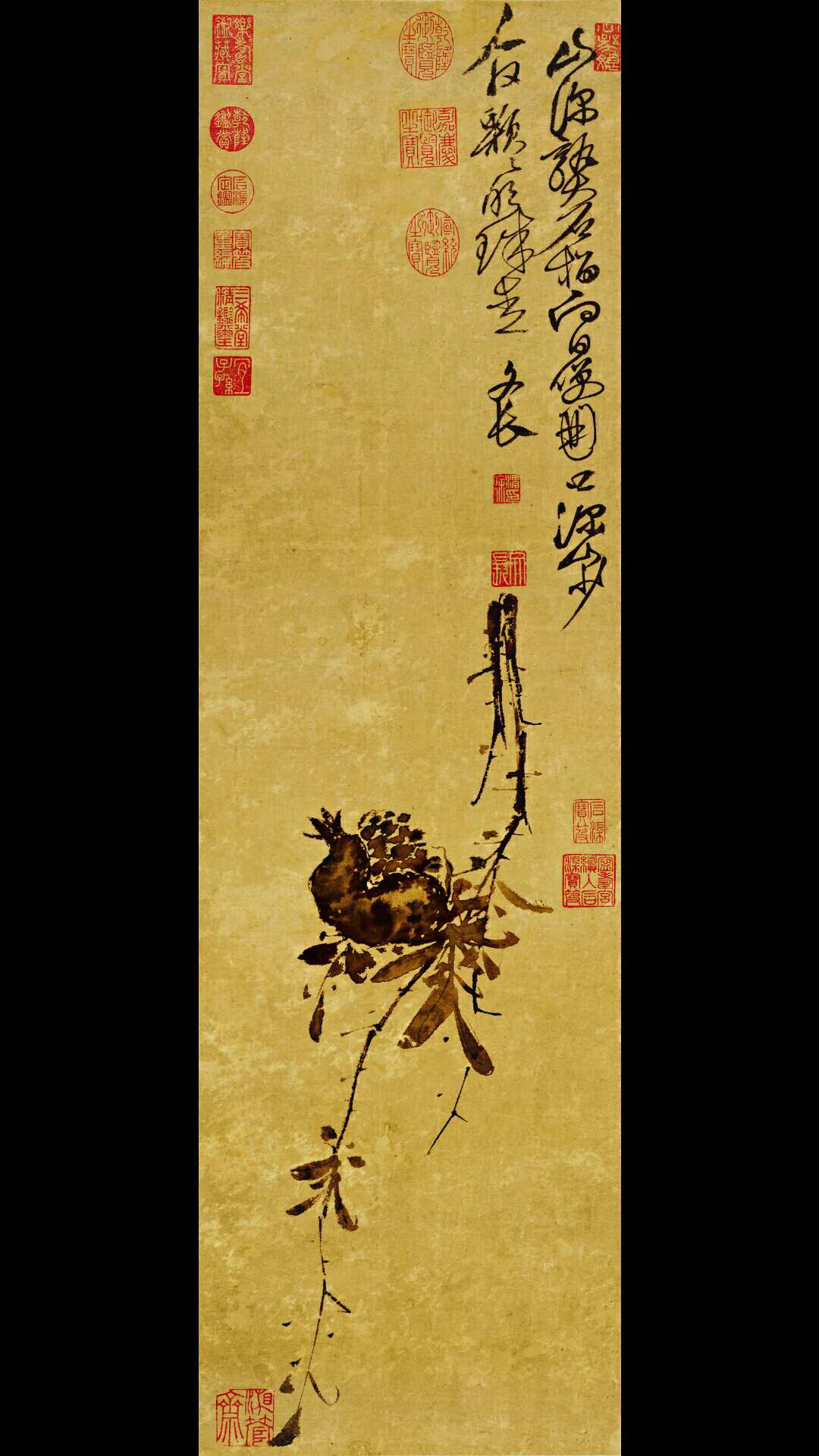 榴实图