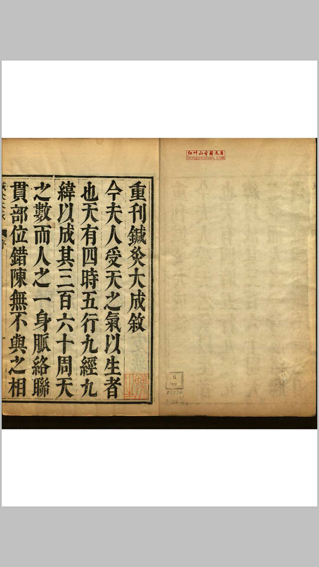 针灸大成 十卷