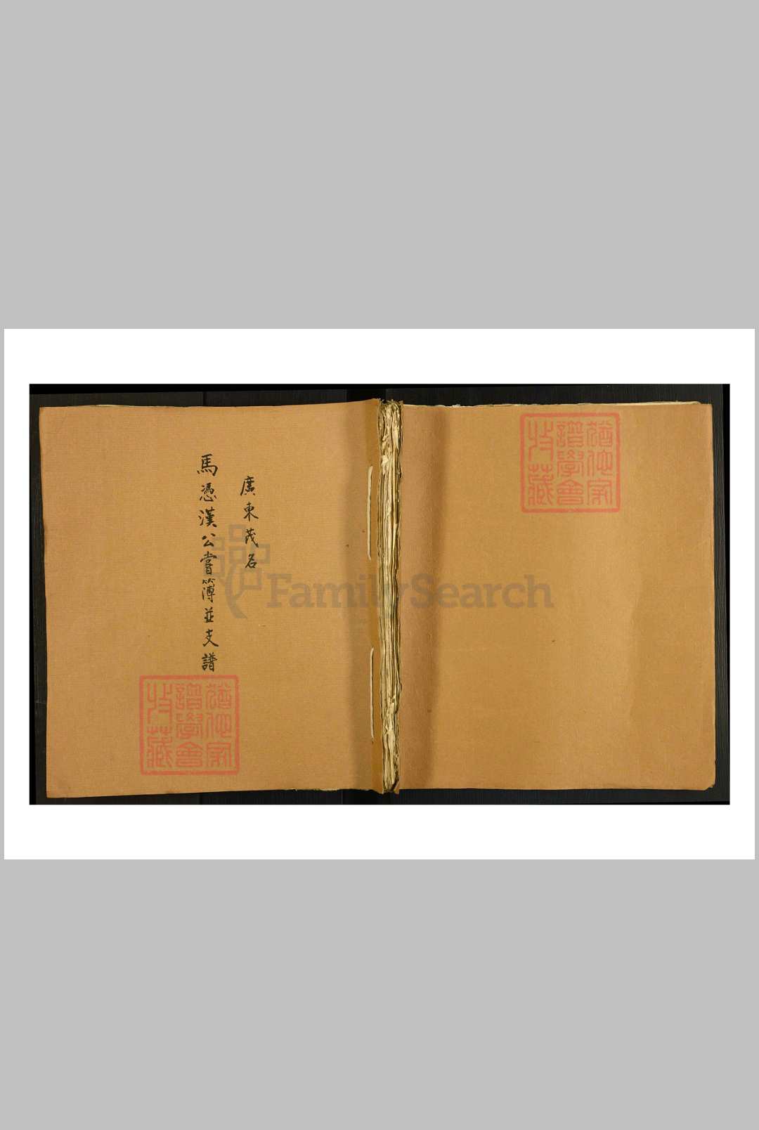 中国, 广东省, 茂名市 – 族谱 马凭汉公尝薄并支谱, 1, 1408–1940