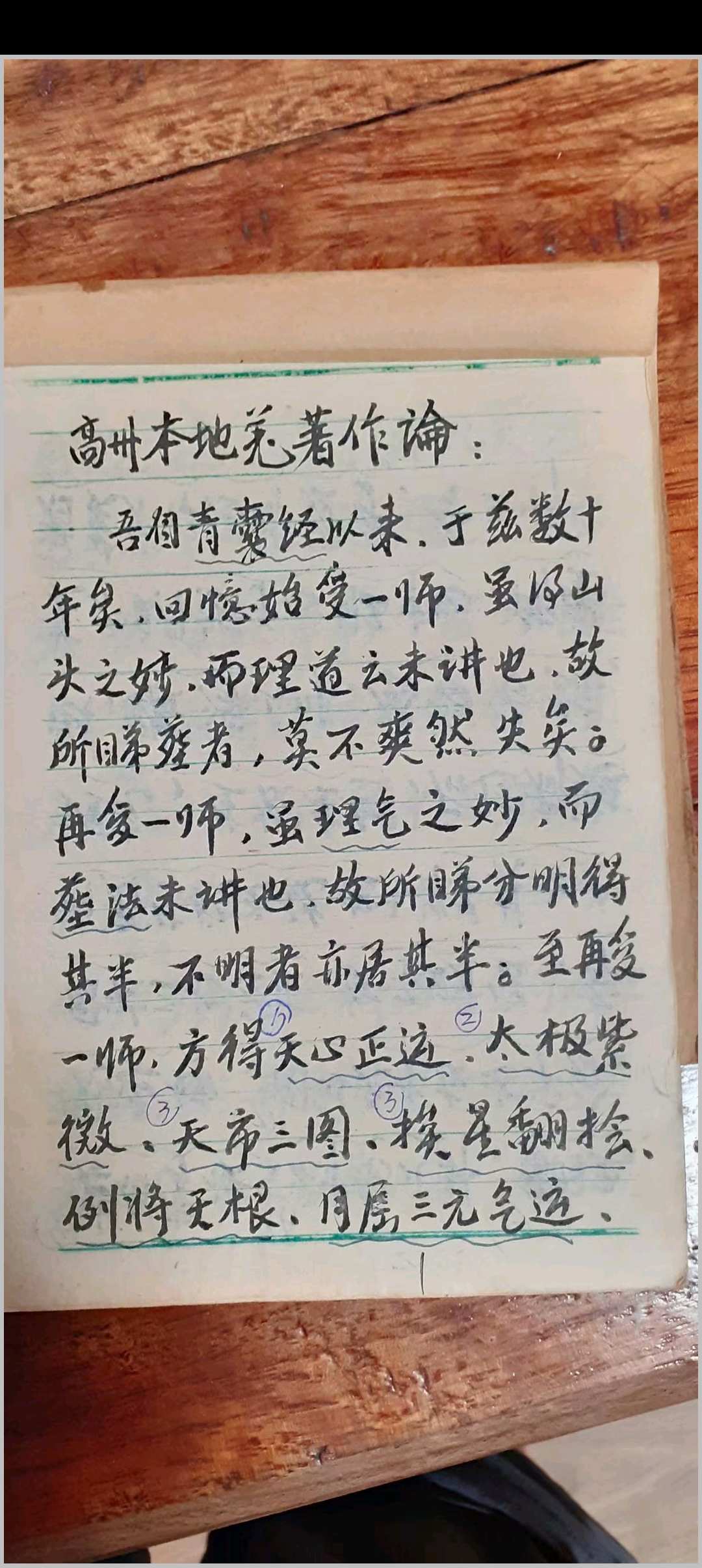高州本地姜著作论手抄本