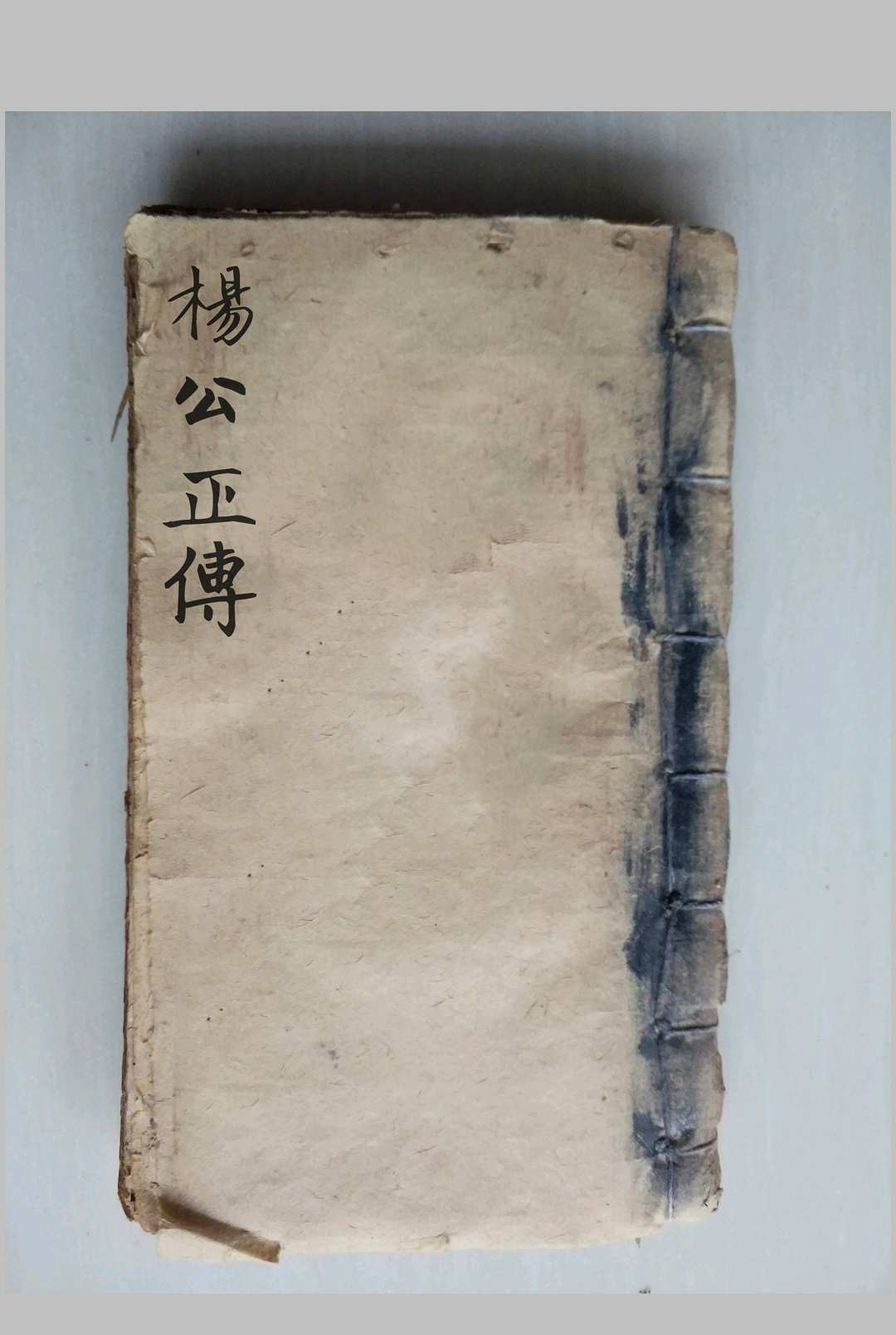 杨公正传