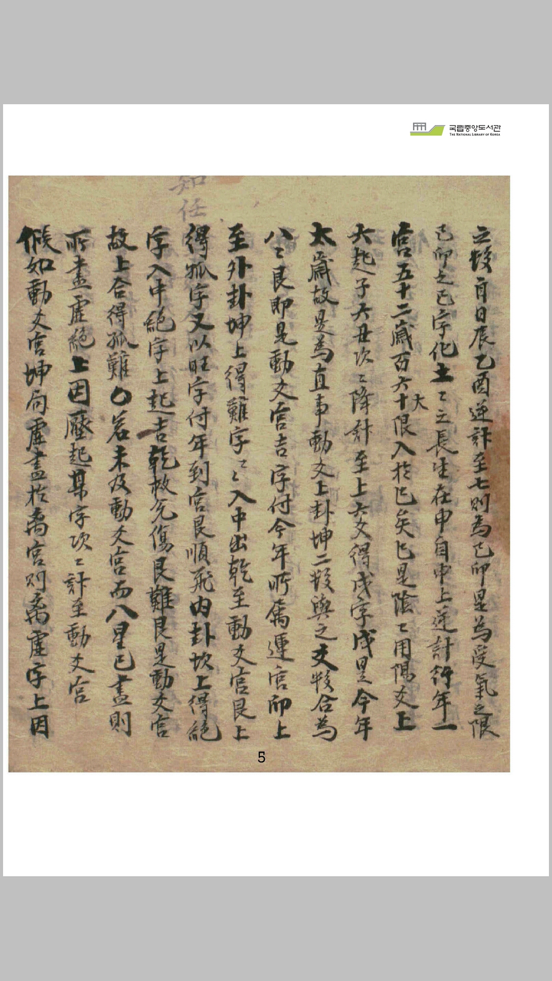 太乙假