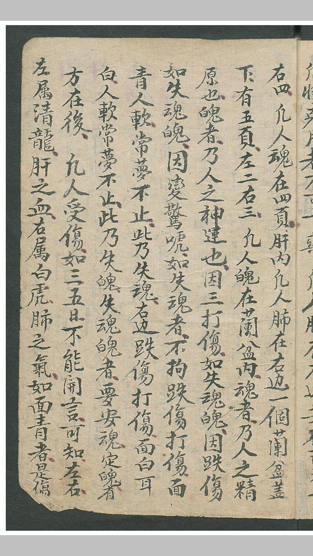 华佗