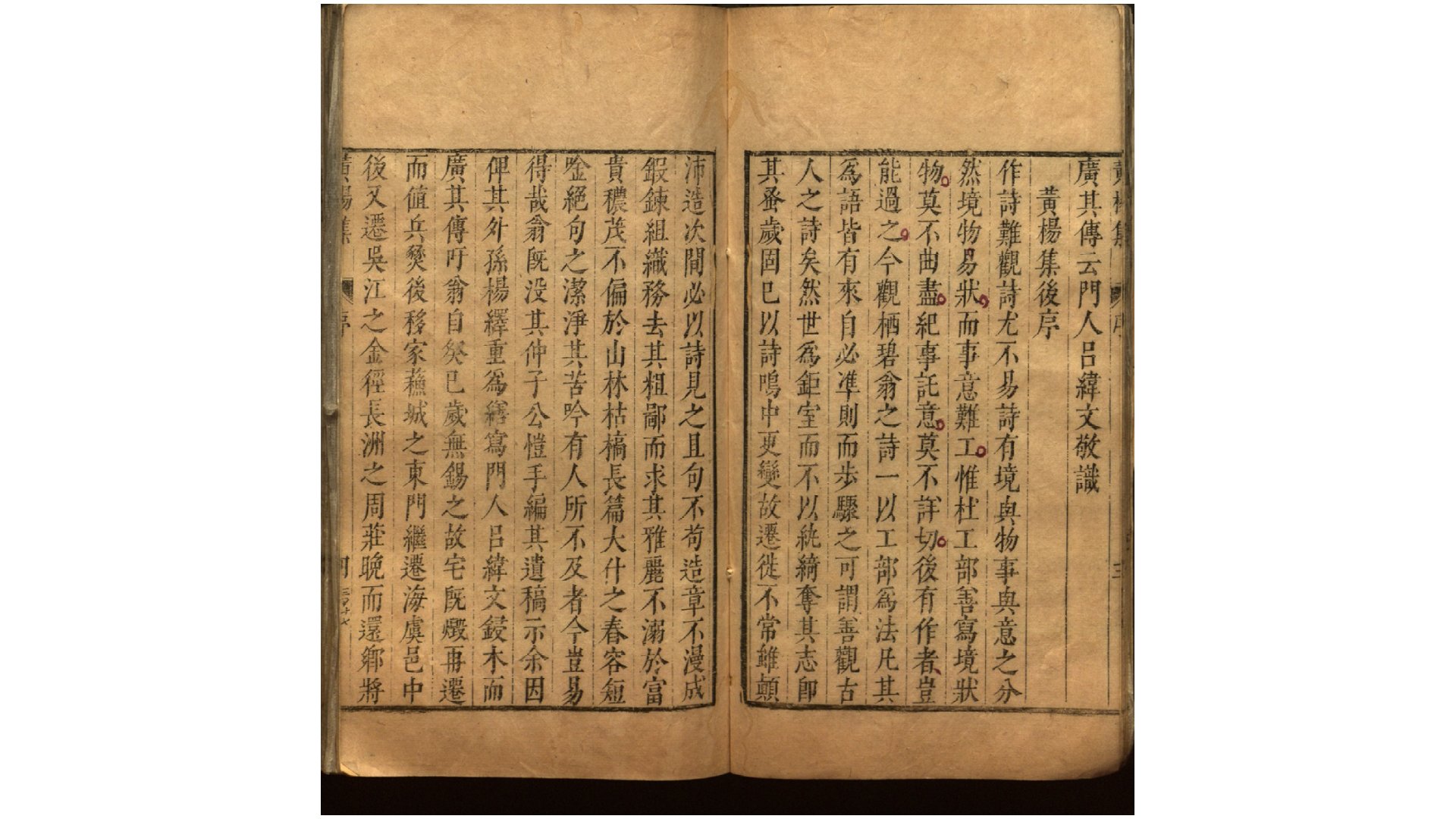 黄杨