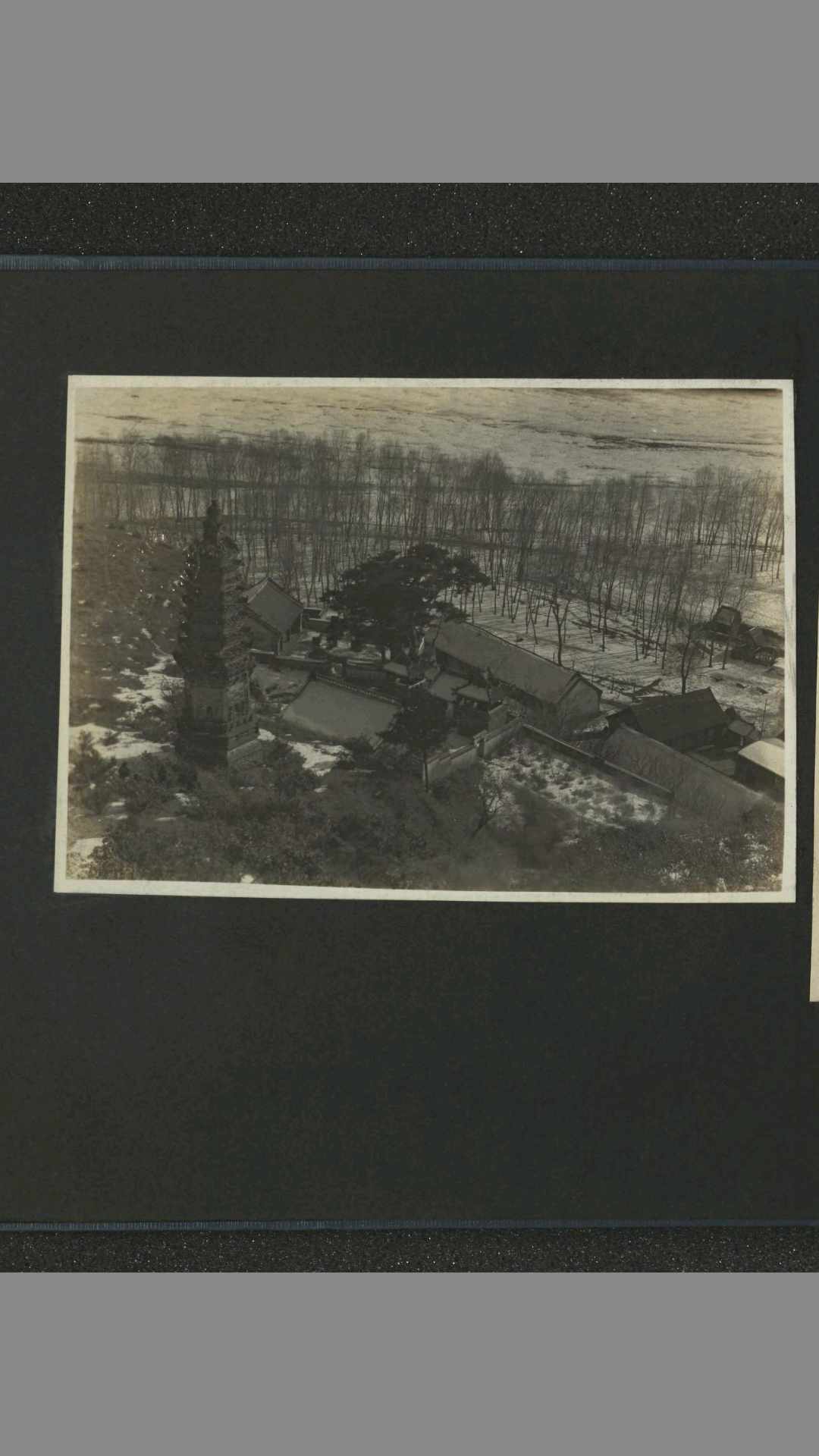 1547294