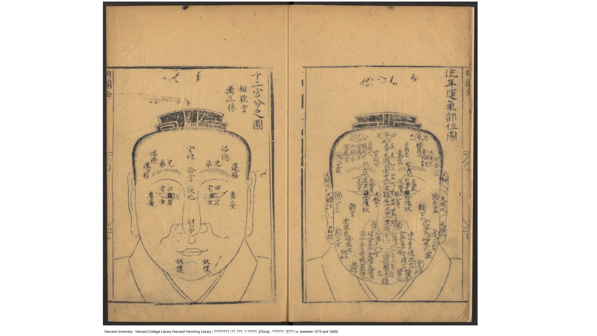 麻衣