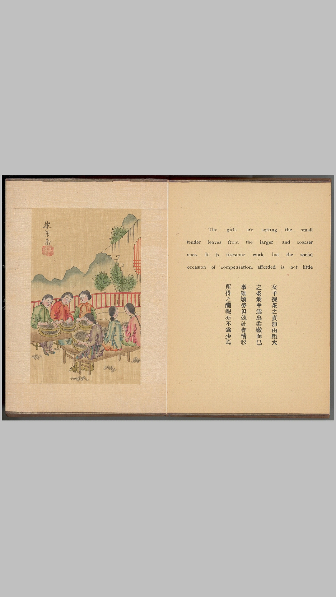 茶