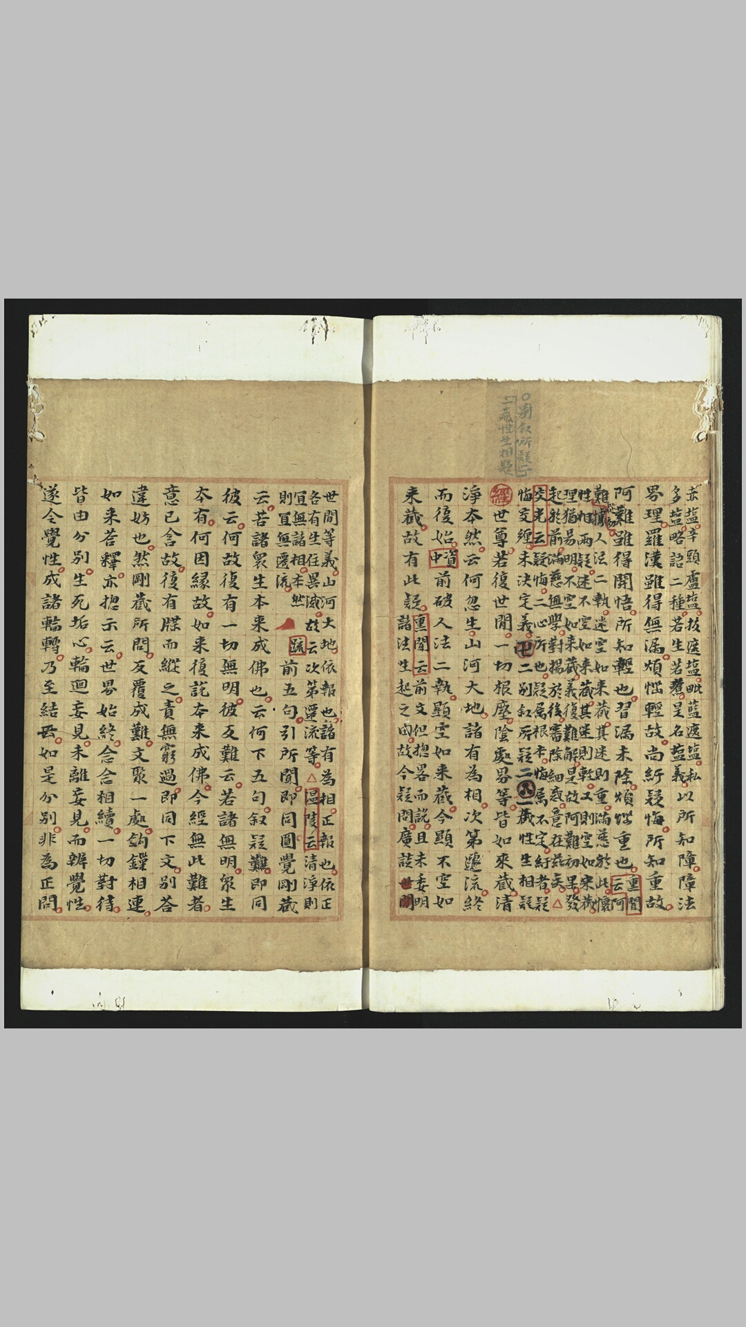 大顶