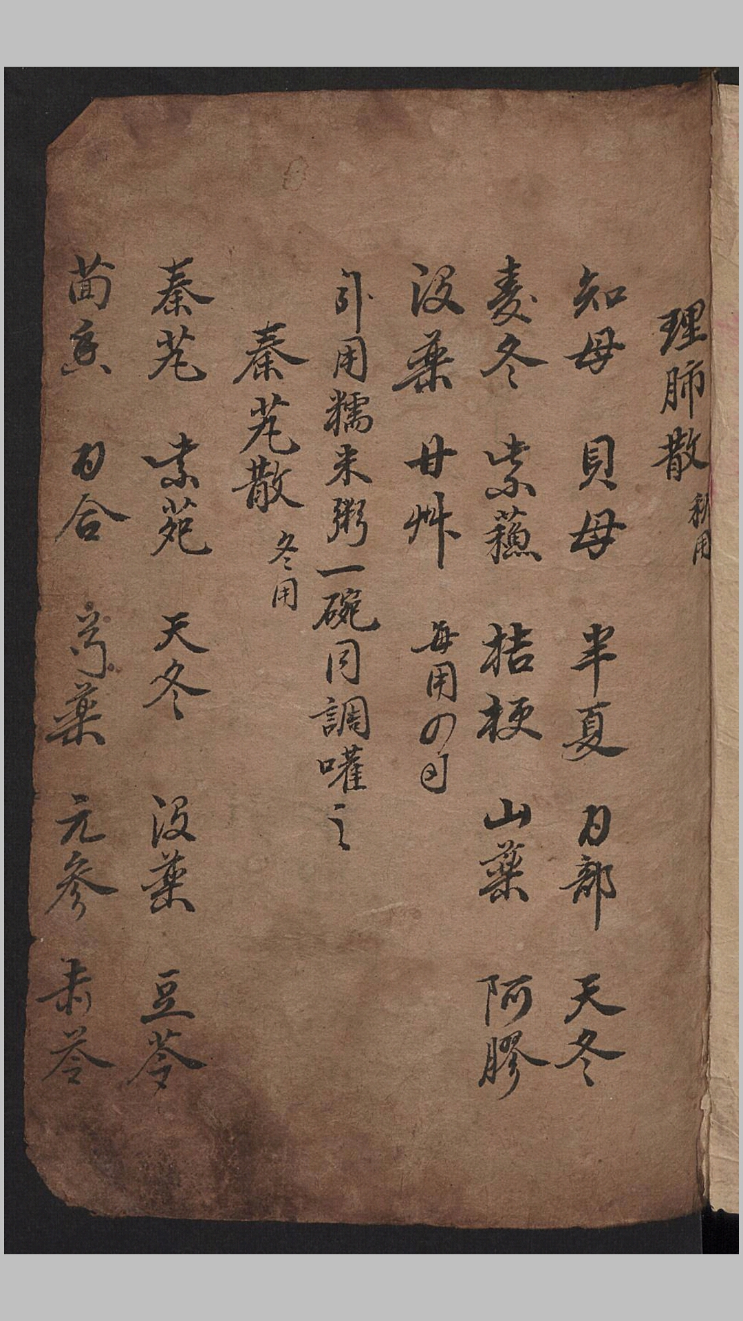 抄本《骡马全书》