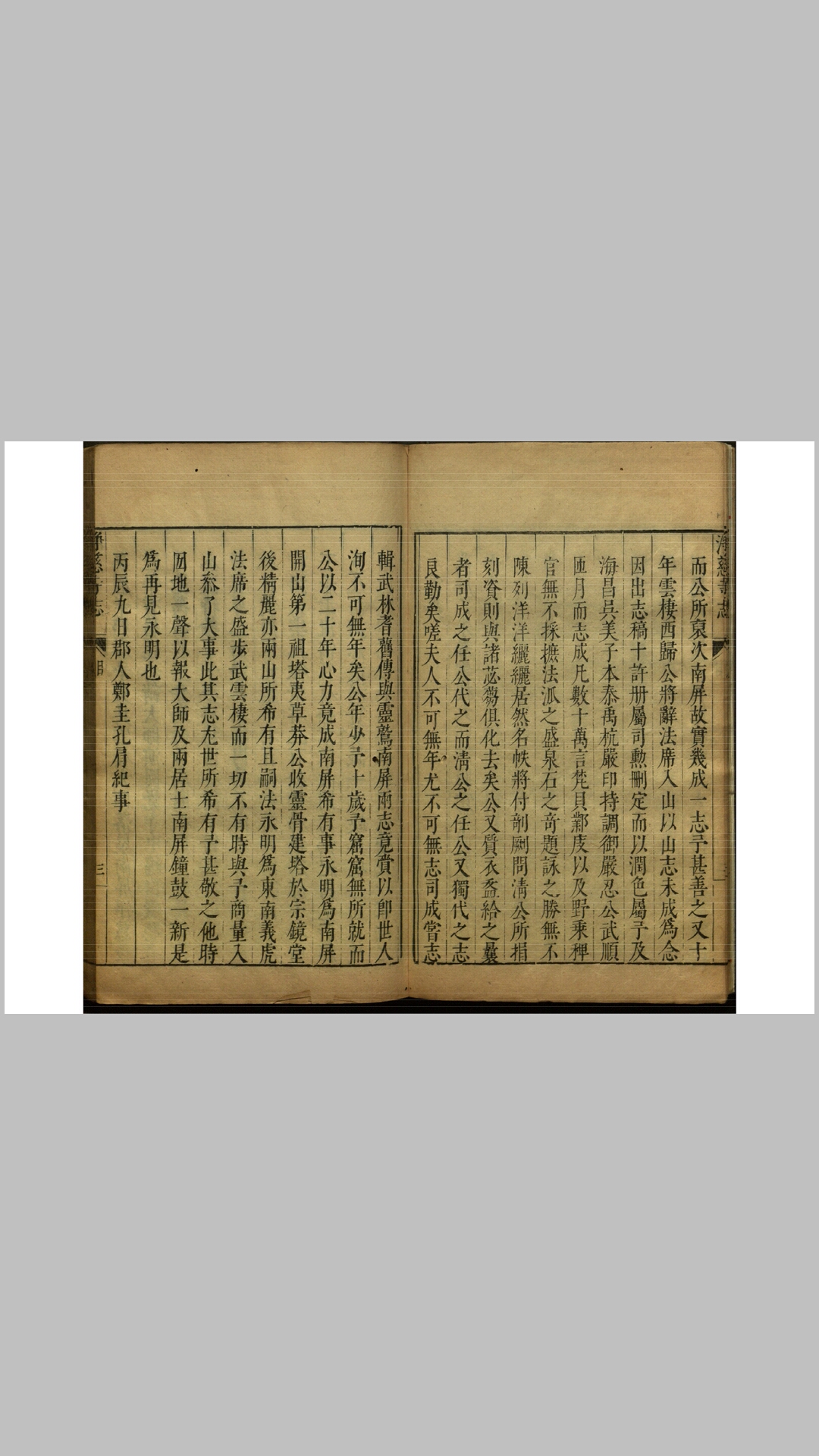 志