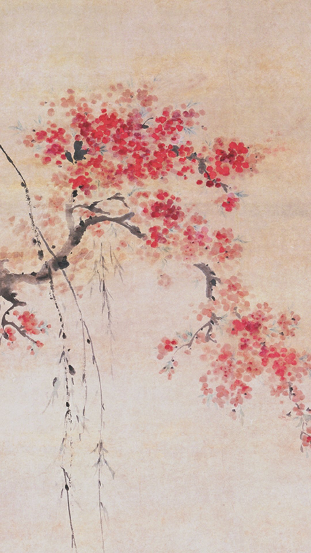 鸭