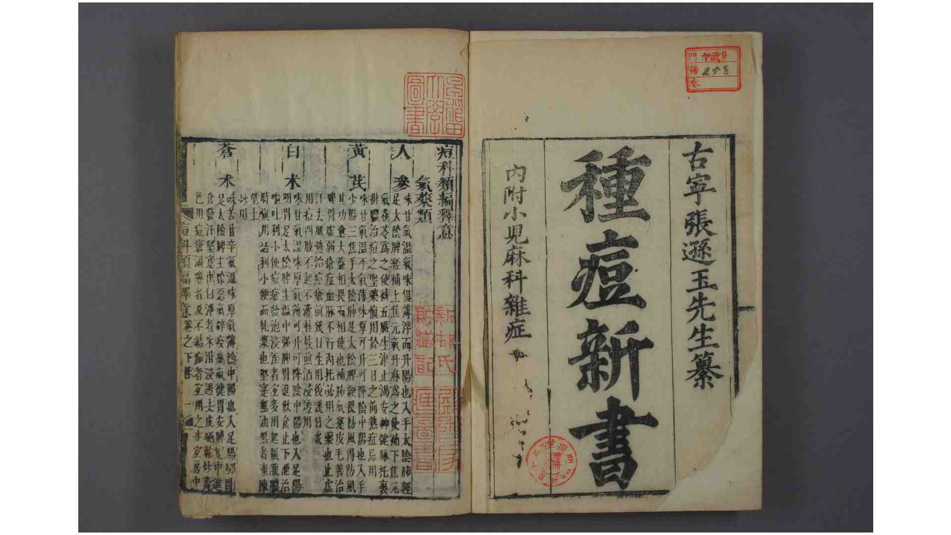 痘科类编释意 上下 卷 张逊玉 纂