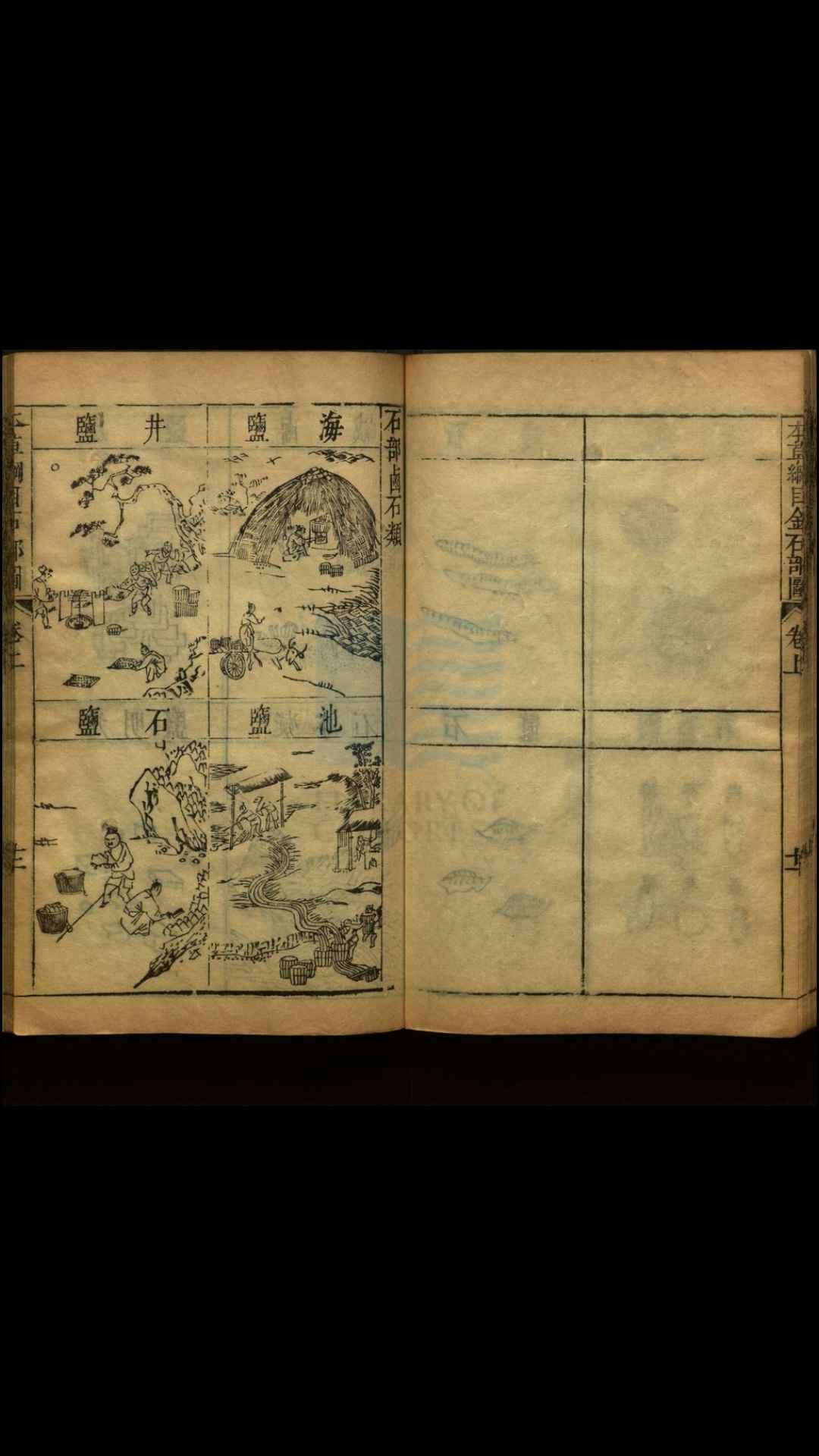 2658989
