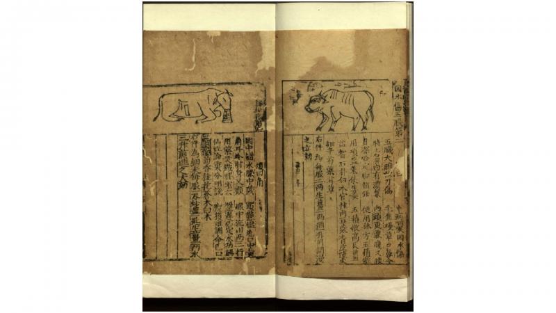 牛经