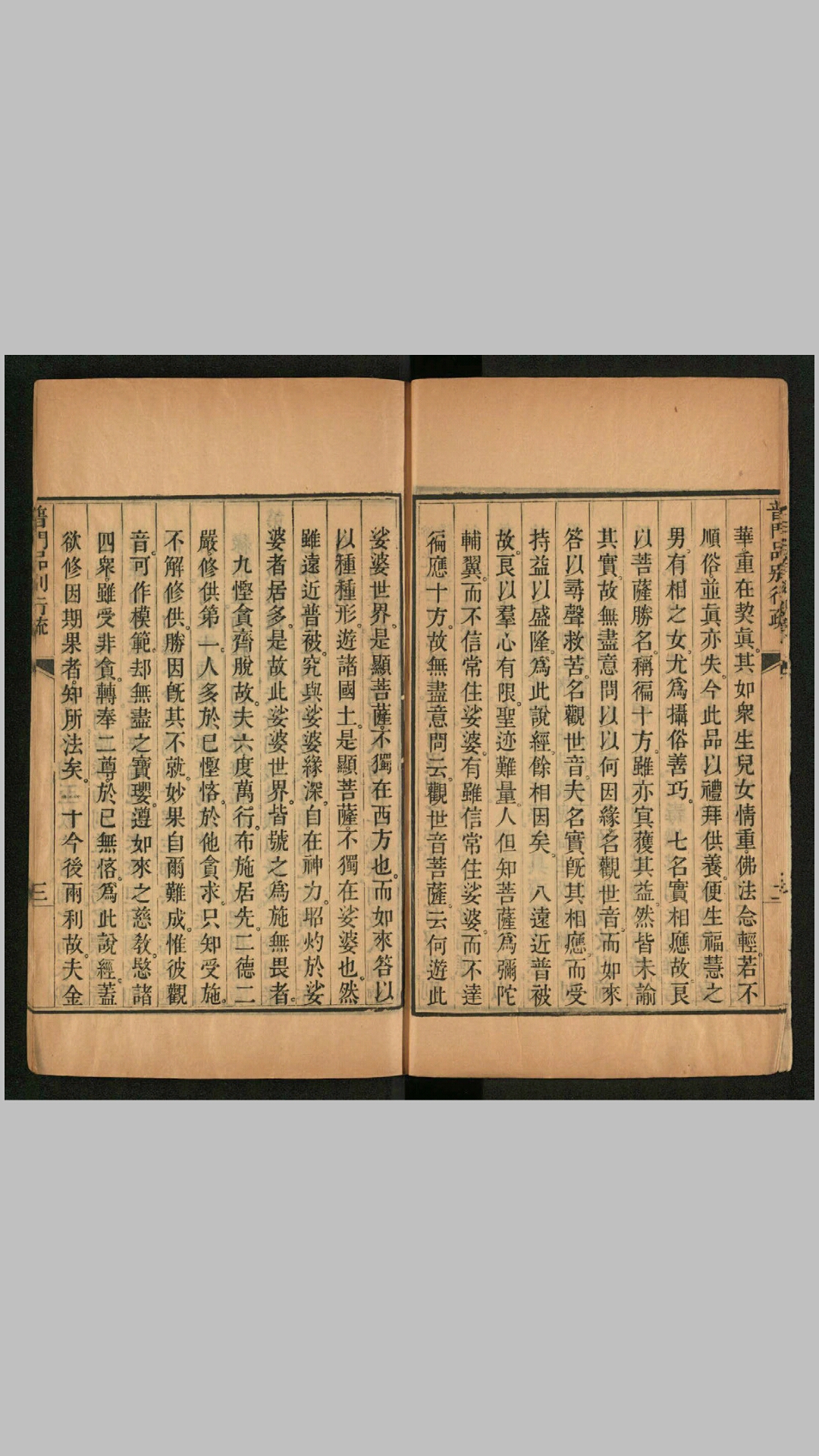 莲花