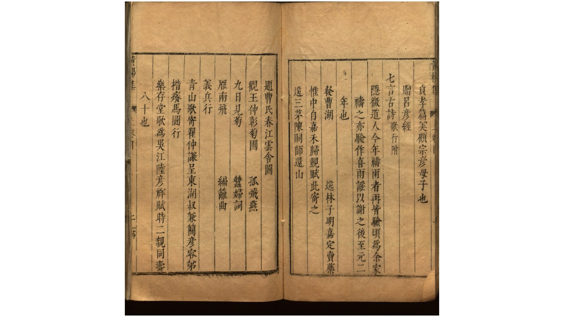 黄杨