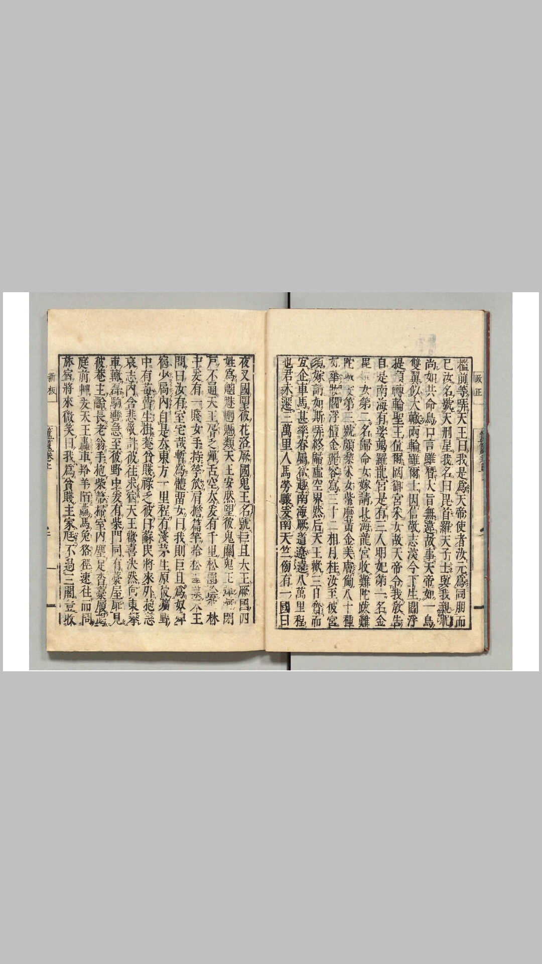 玉兔