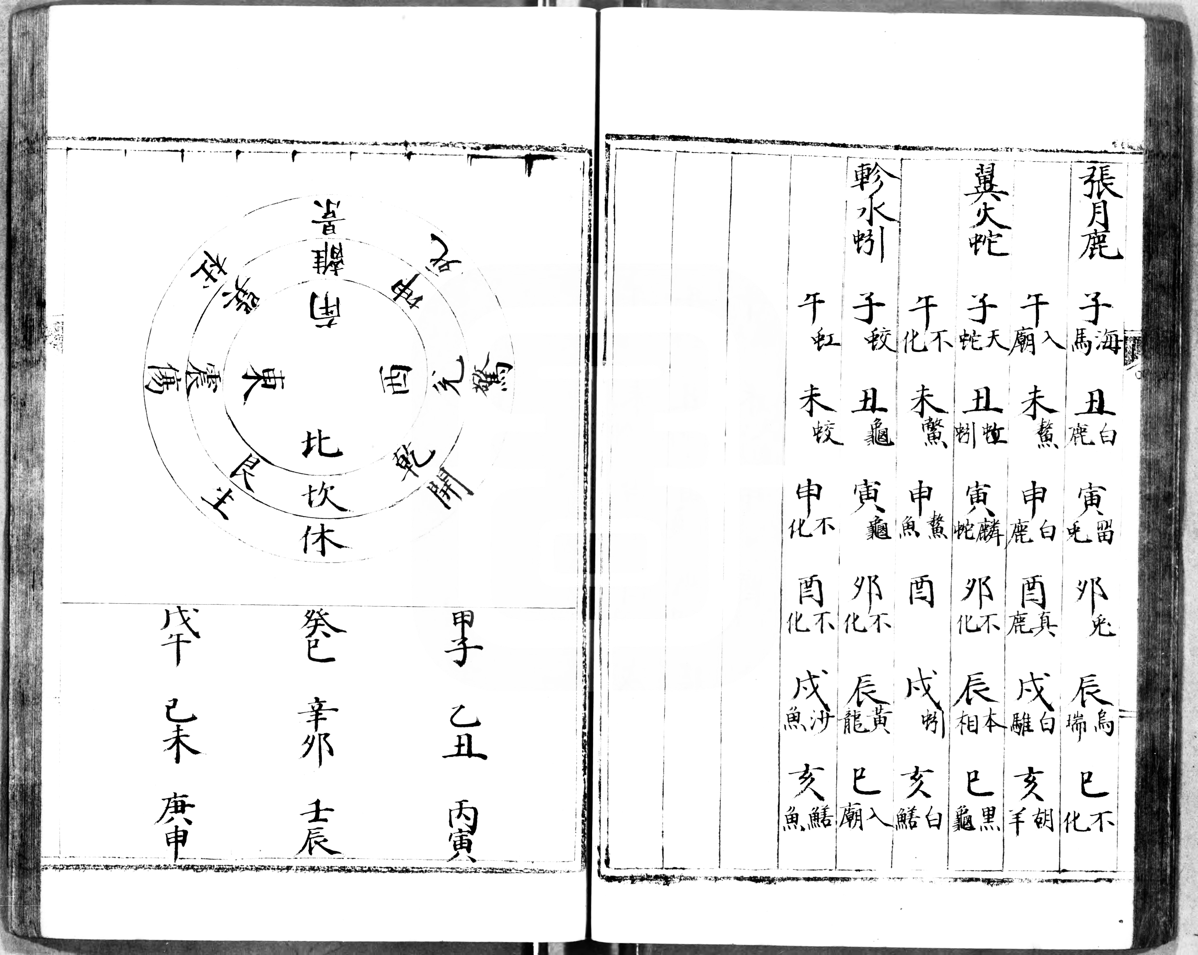 禽遁