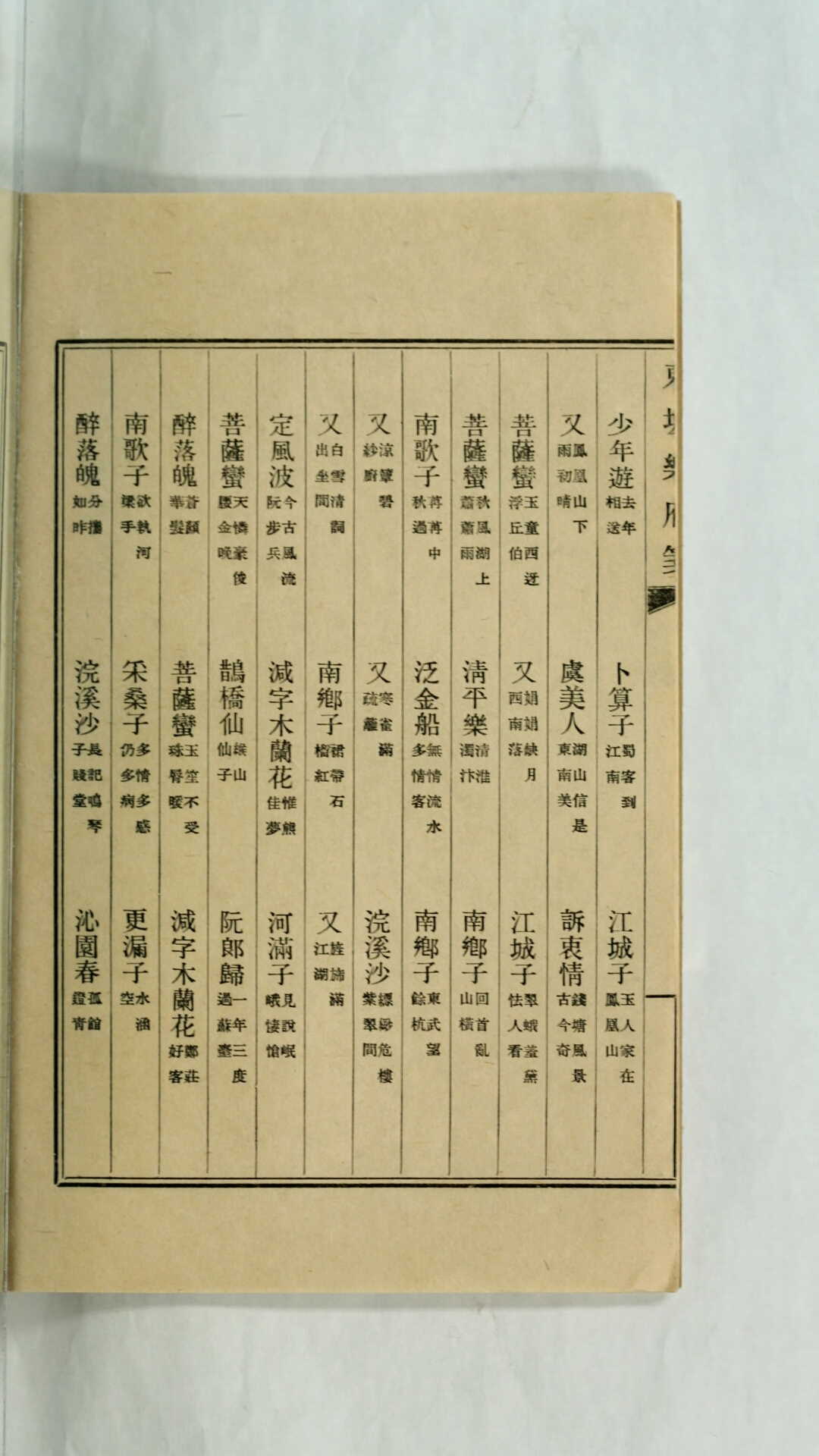 东坡