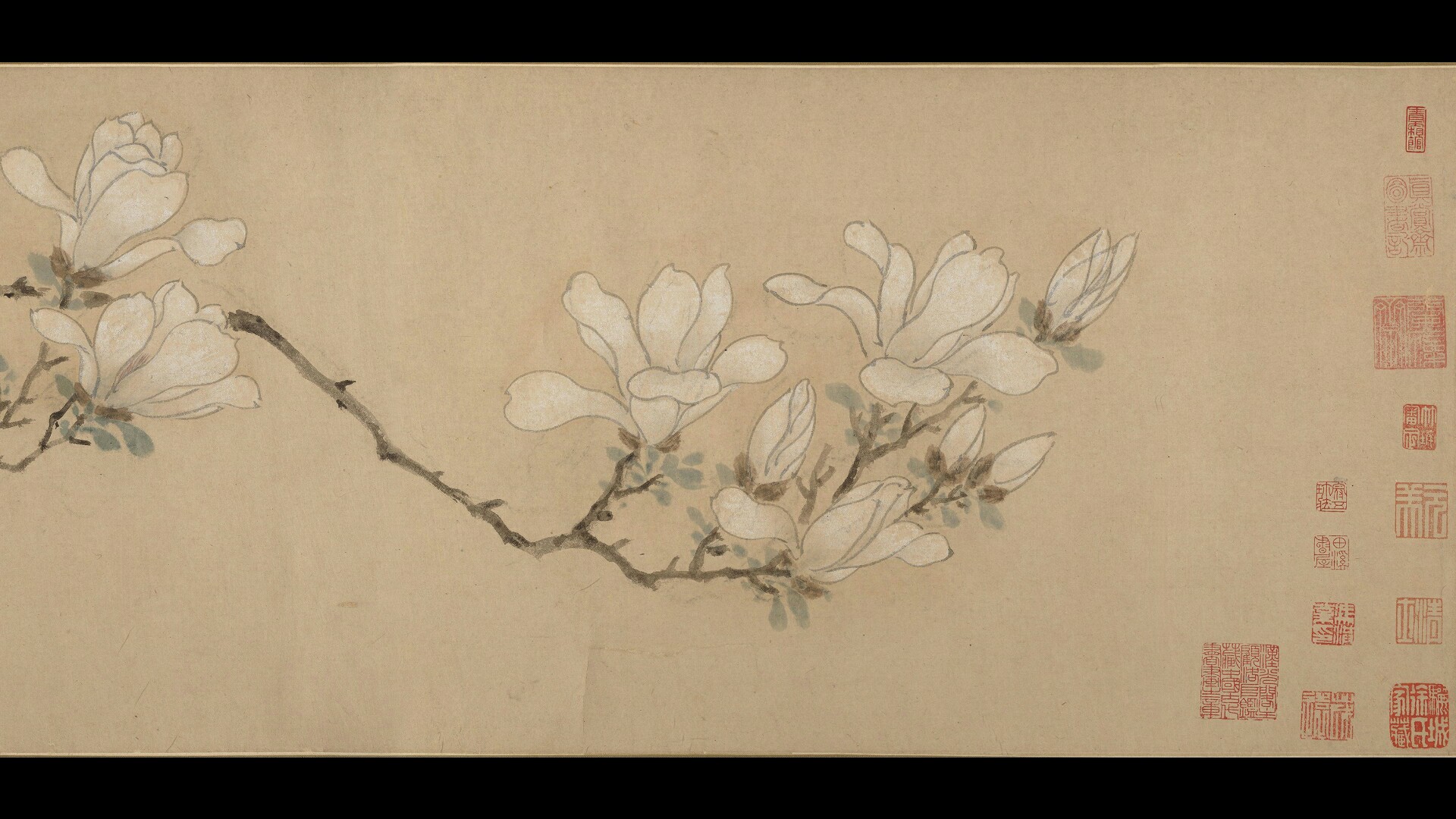 画