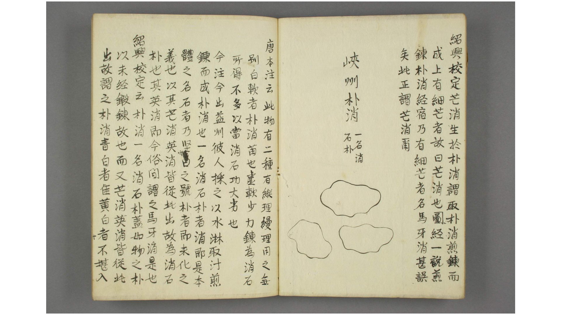 本草