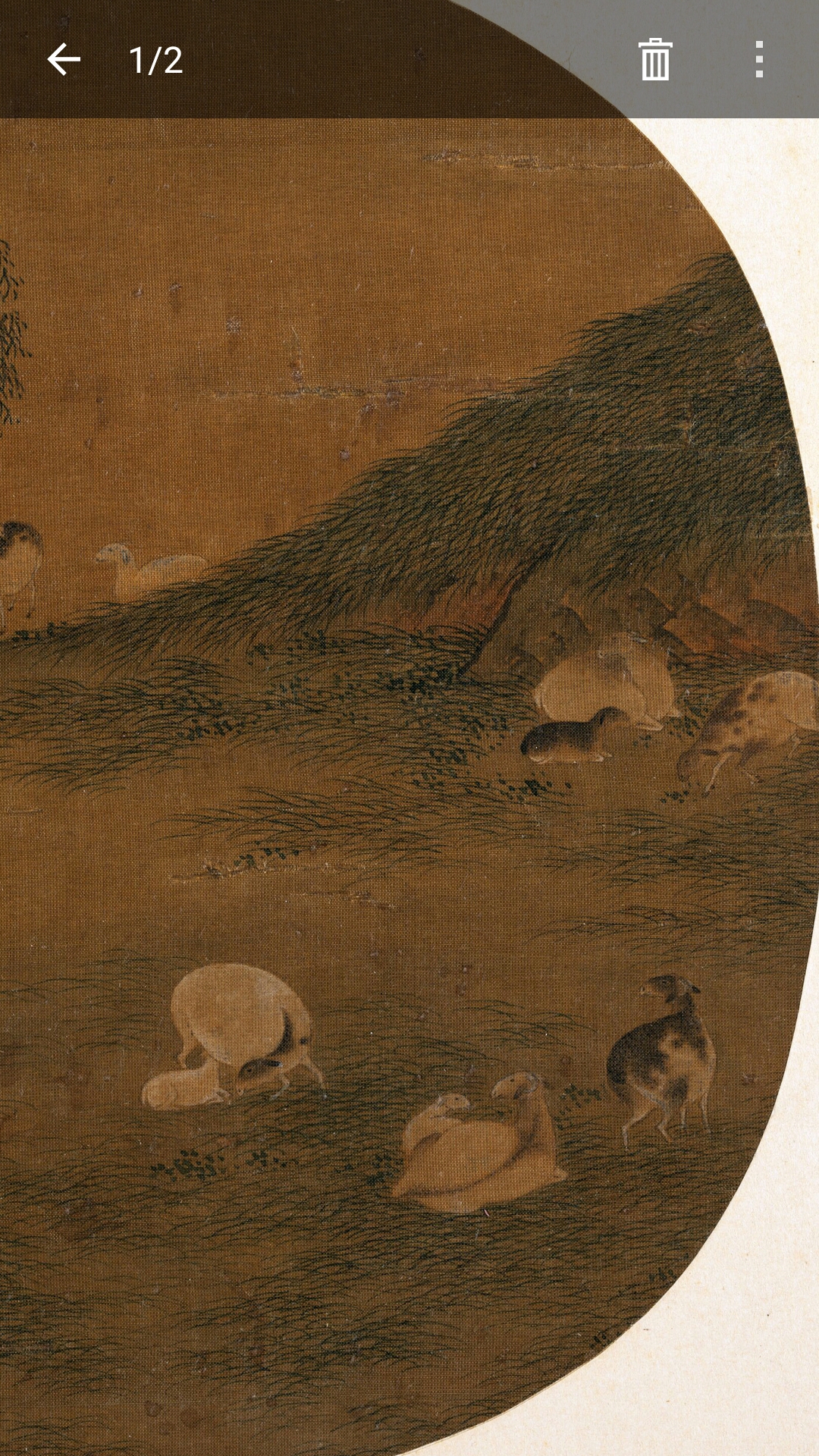 羊图