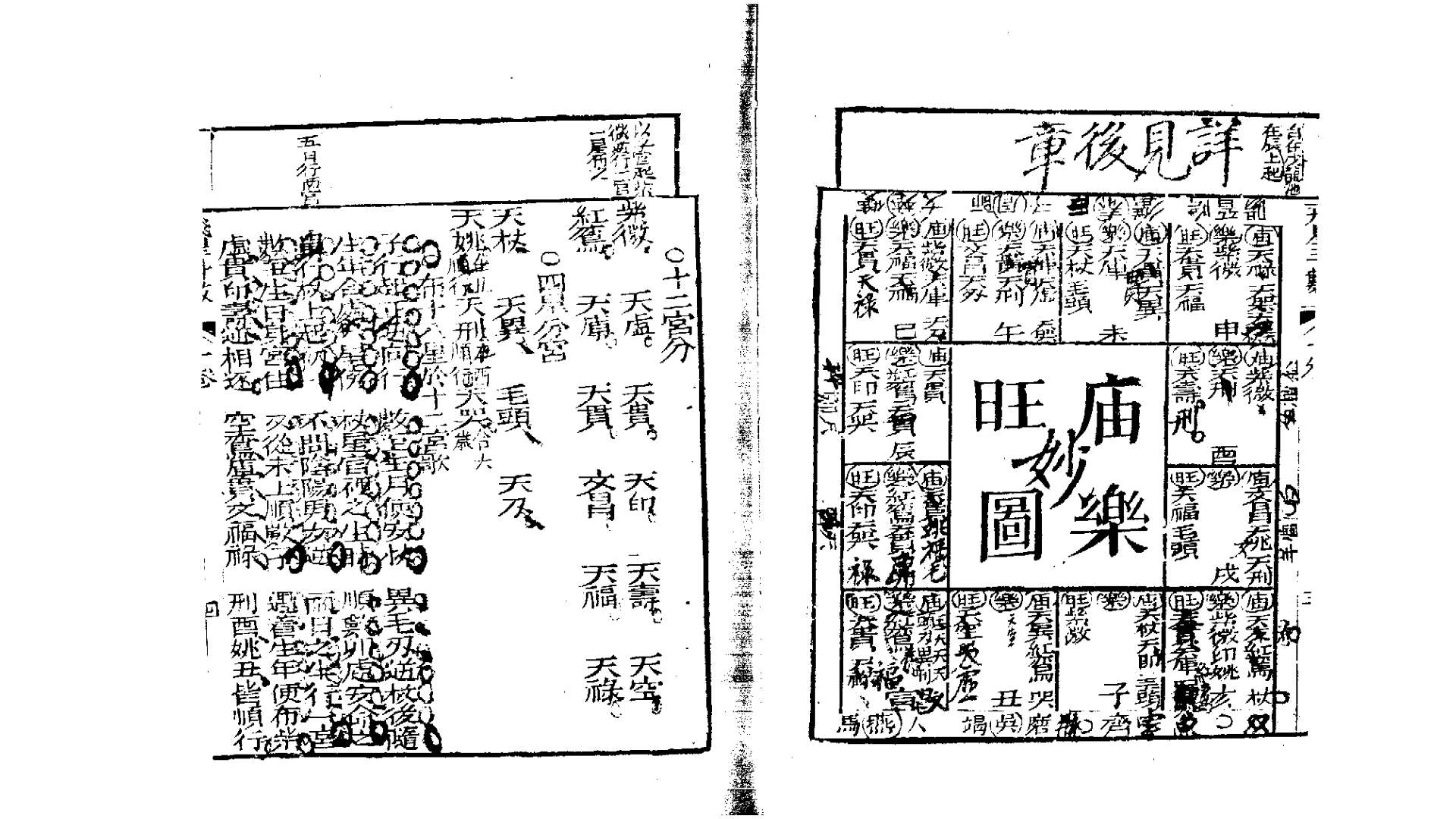 紫薇