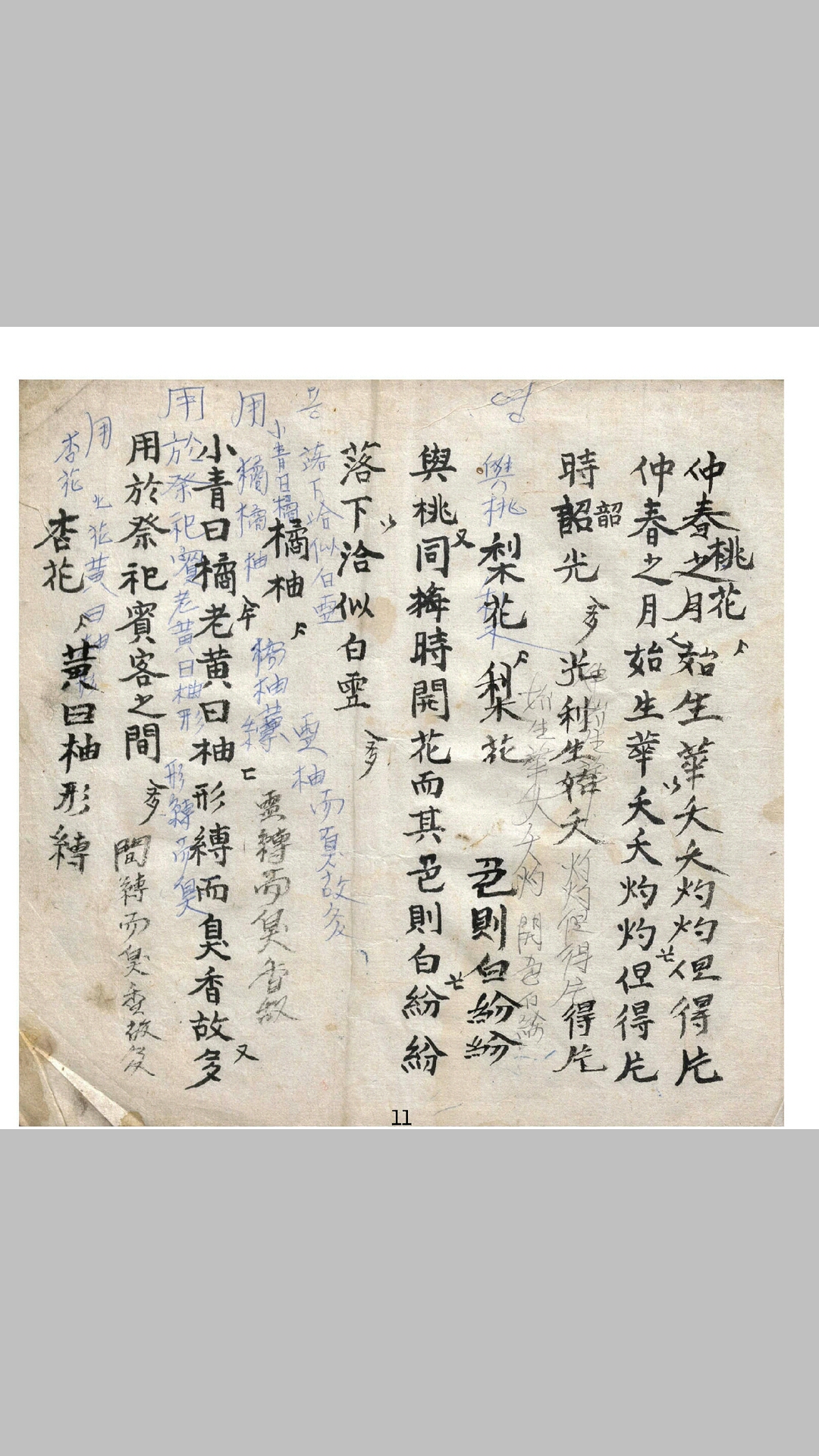 万物