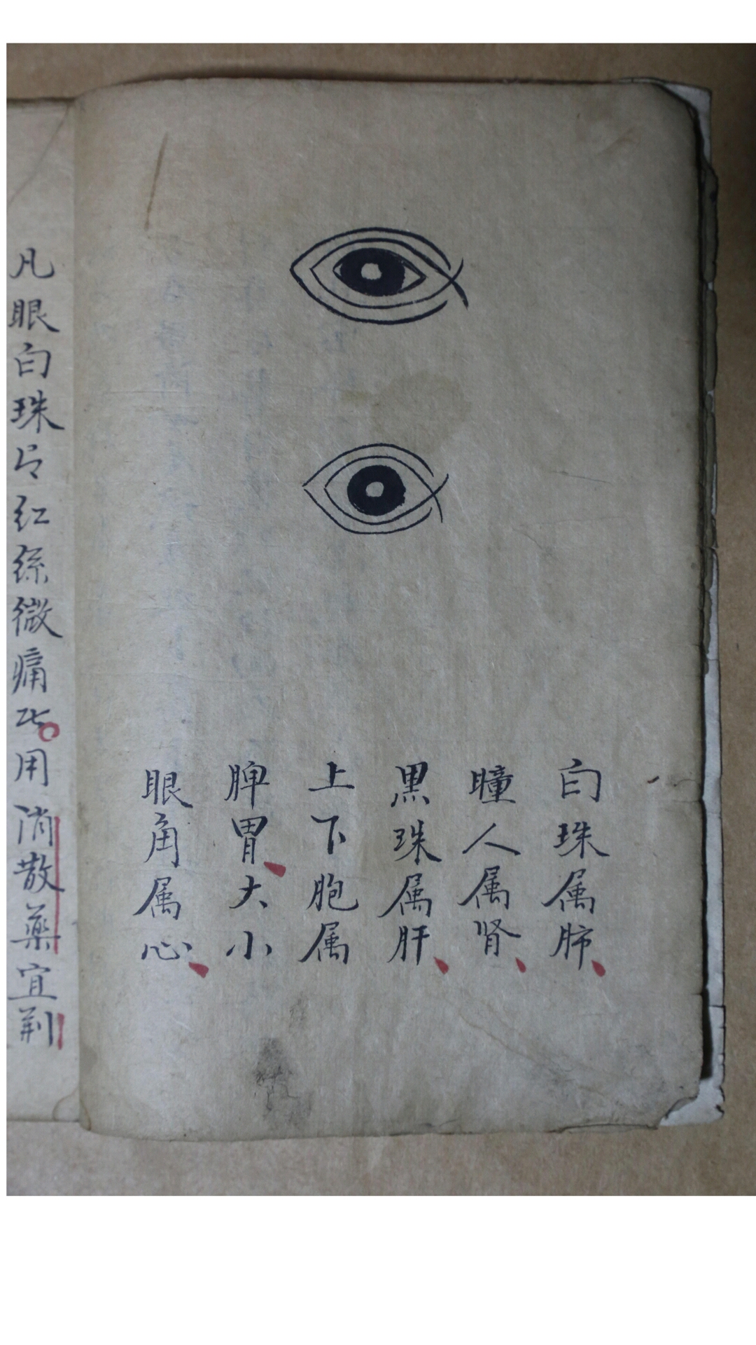 眼