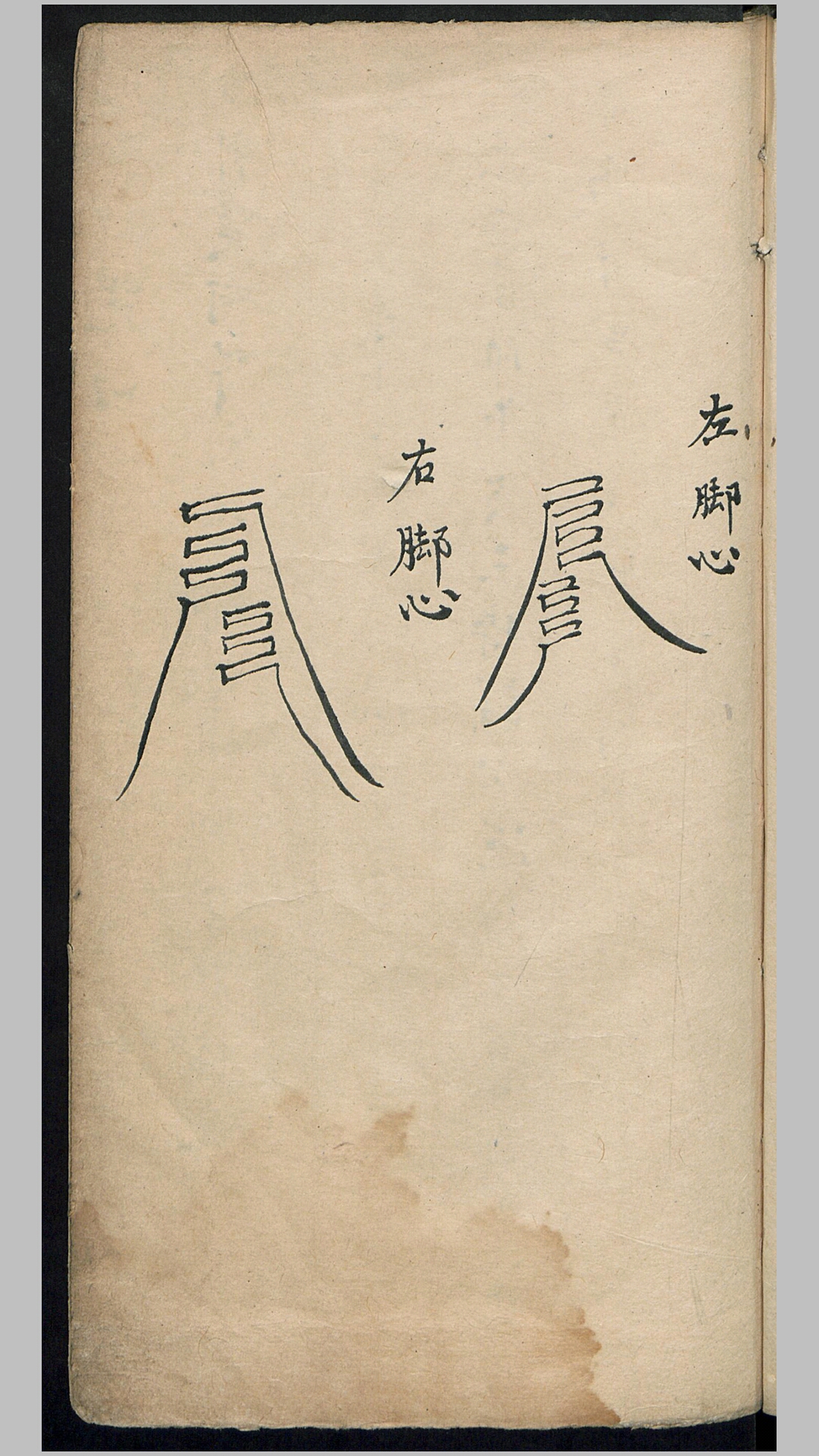 道