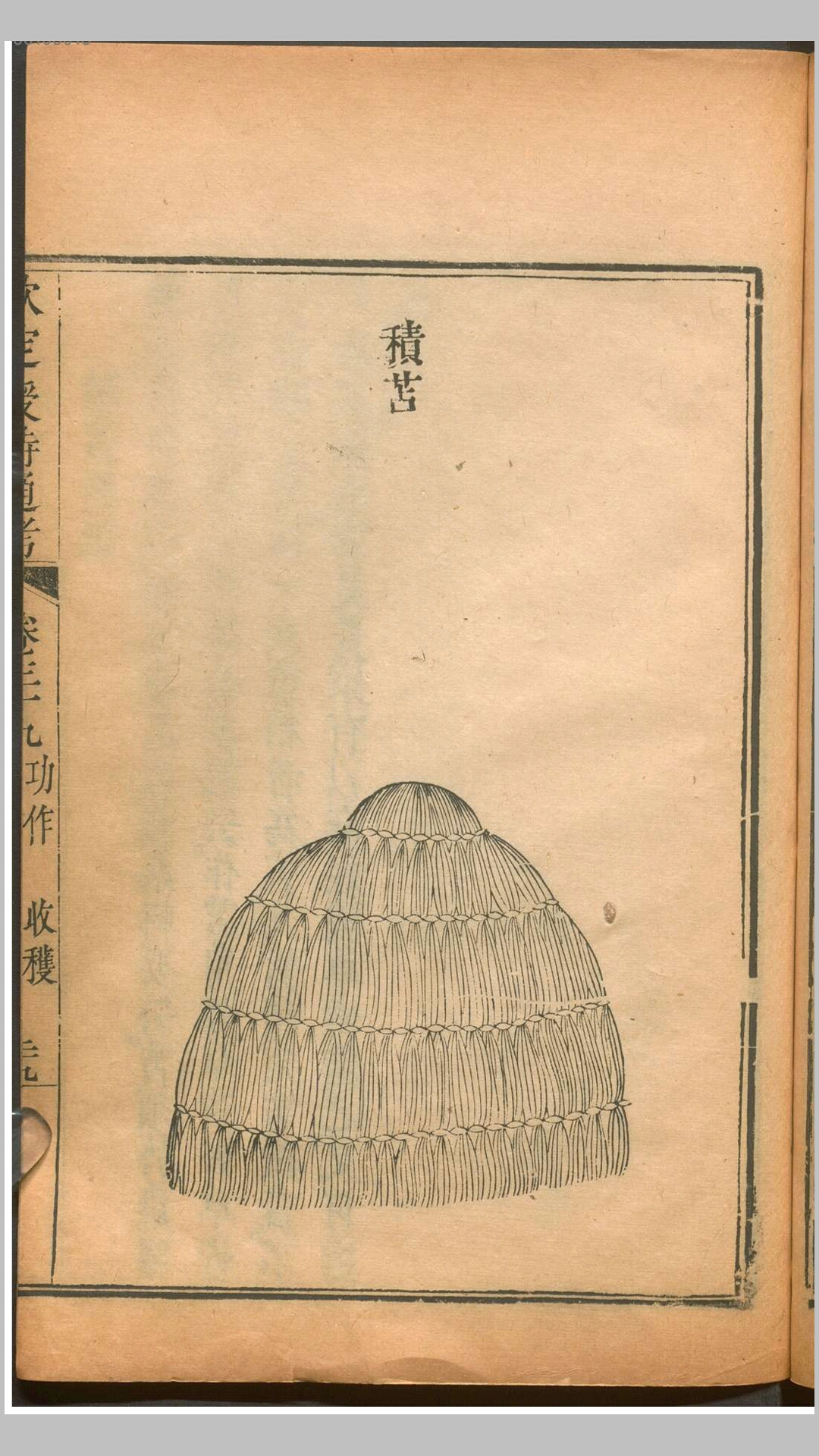 时