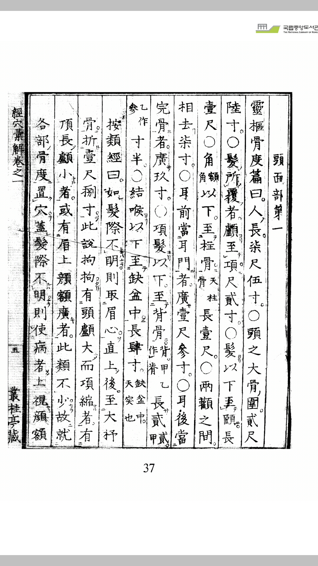 经穴