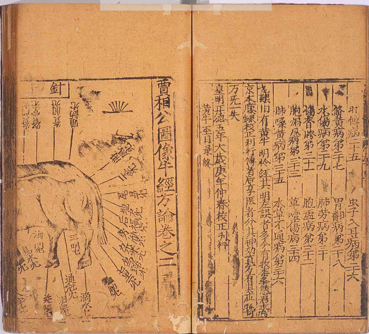 黄牛