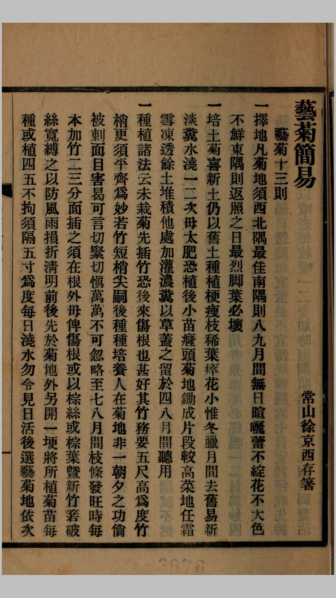 菊