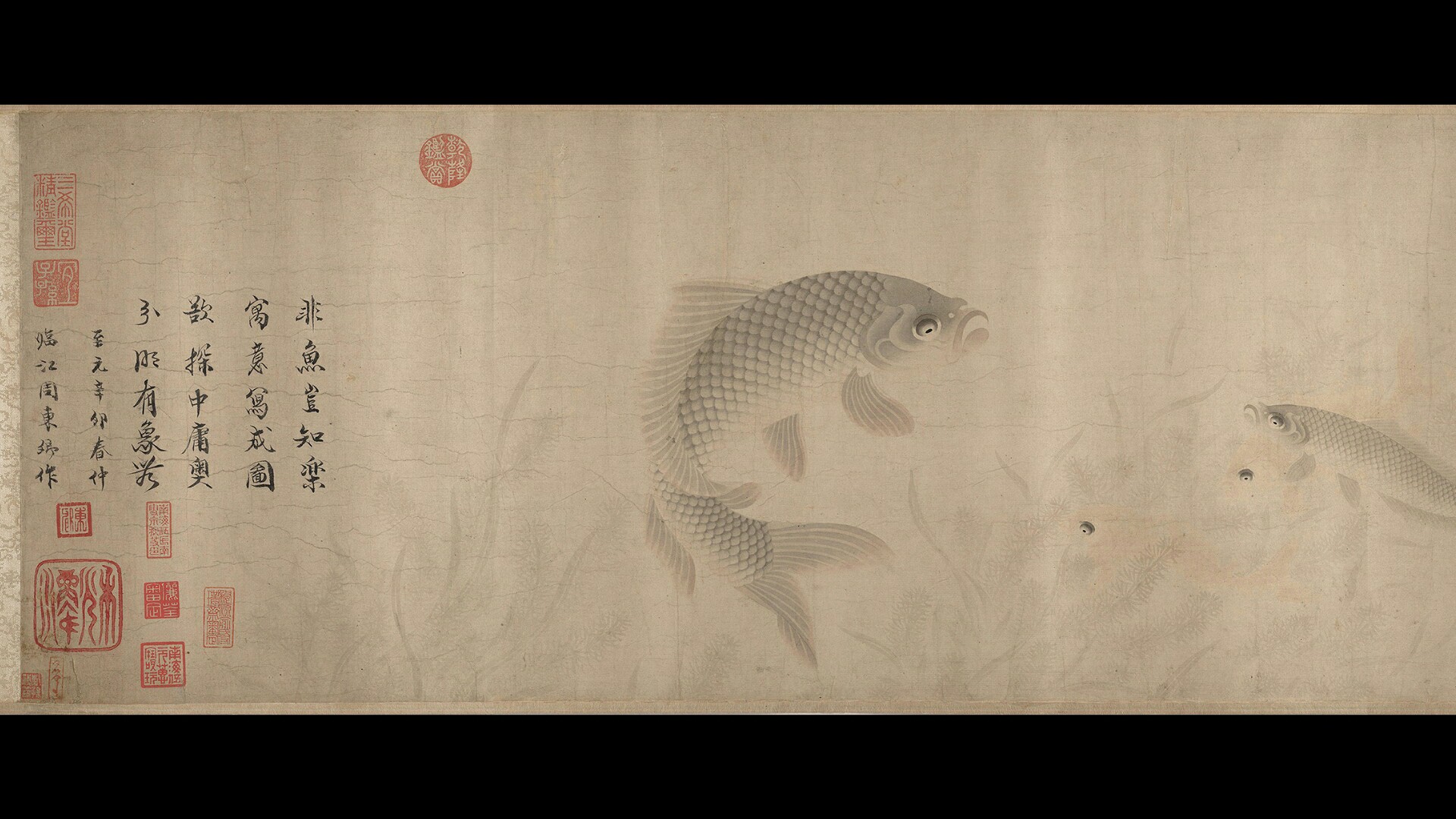 鱼