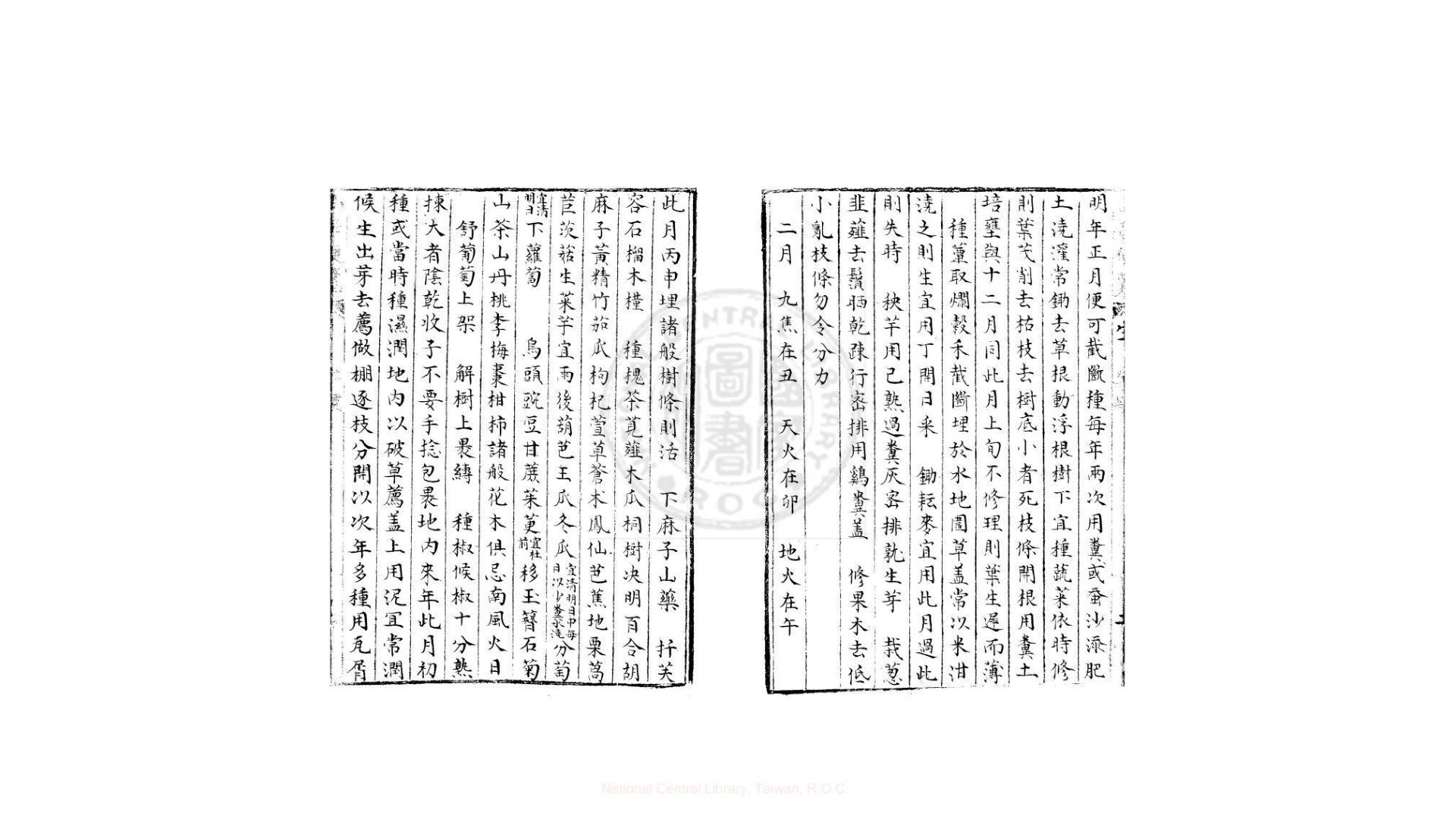 种树
